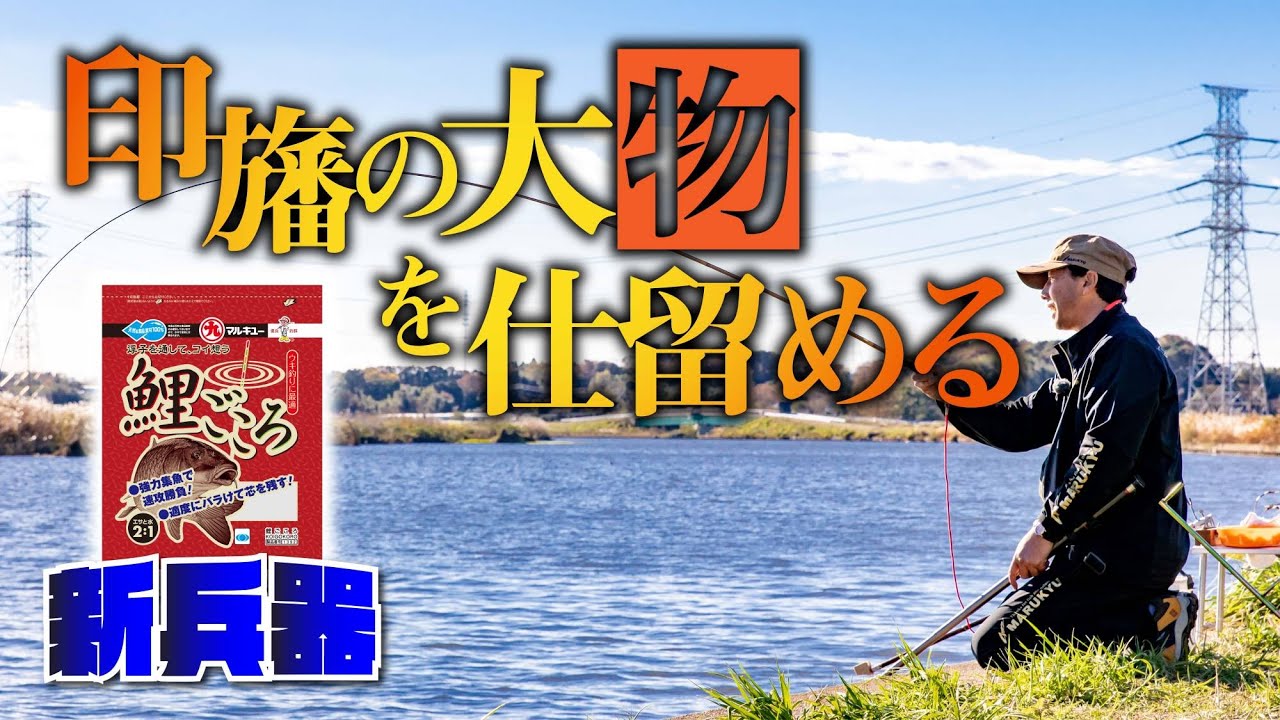 【コイのウキ釣り】「鯉ごころ」で印旛新川を攻略‼