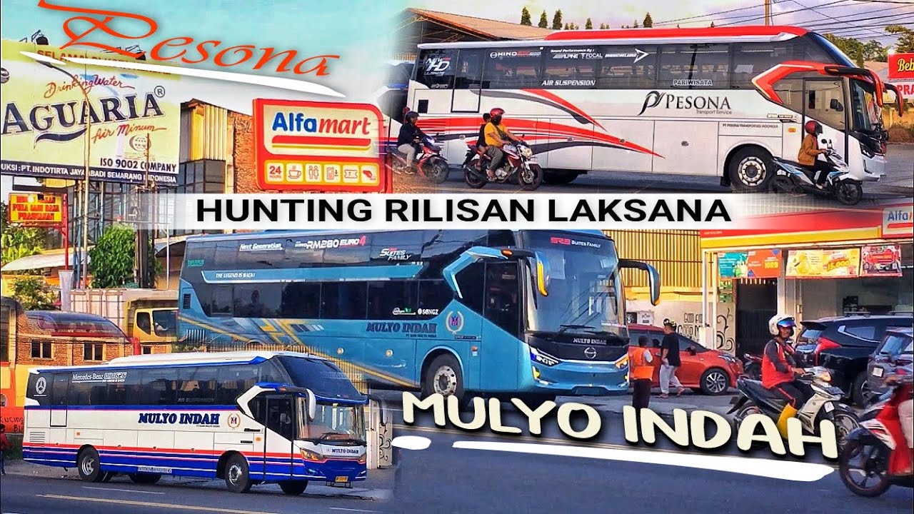 HUNTING TERMINAL BAWEN | DAPAT RILISAN MULYO INDAH & PESONA