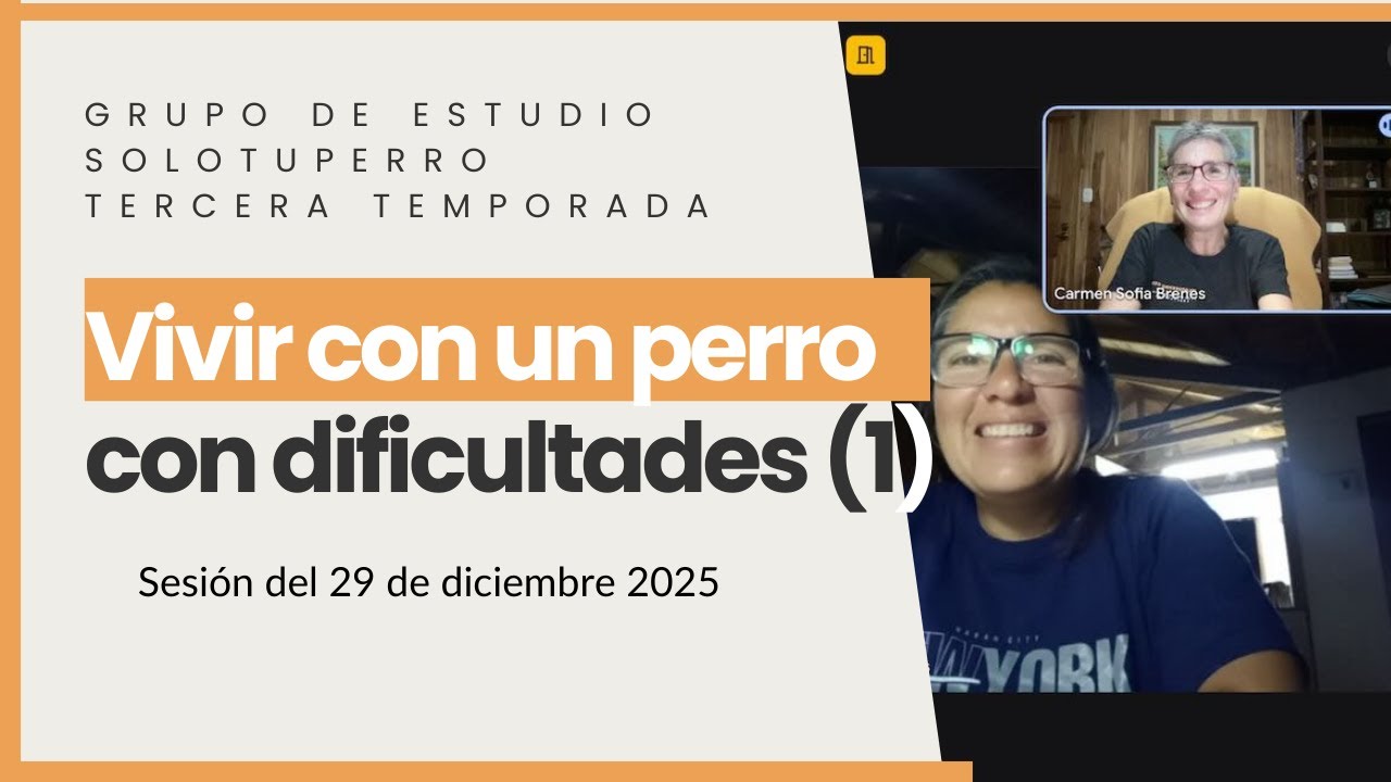 Convivir con perros con problemas de comportamiento es duro para las familias (1)