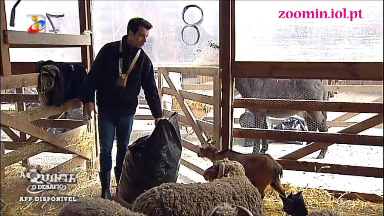 Na Quinta, Luís pega se com Agnes e ela mete as garras de fora!
