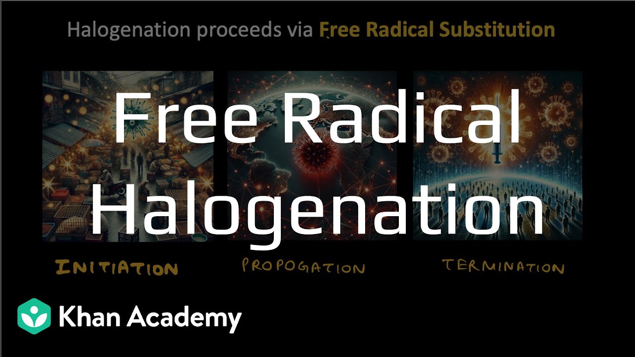 Free radical halogenation of alkanes| Haloalkanes & haloarenes | Grade 12 | Chemistry| Khan Academy