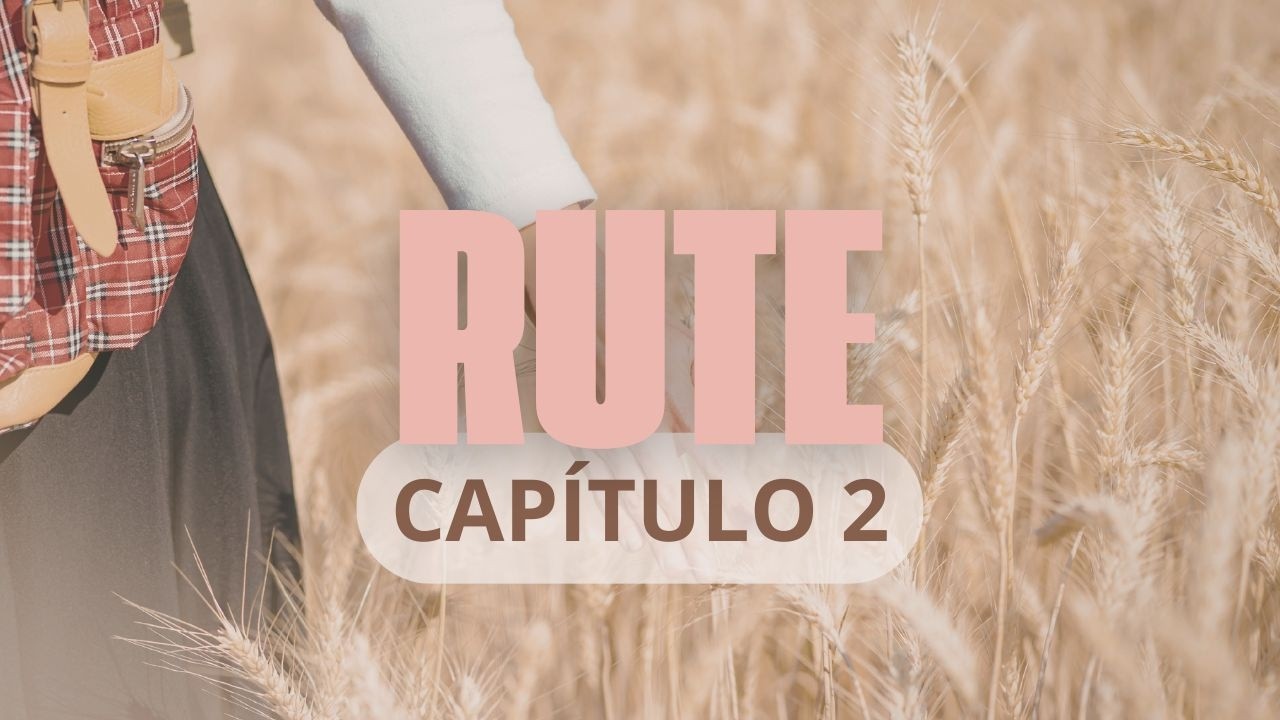 Rute 2: O Encontro com Boaz e a Providência de Deus