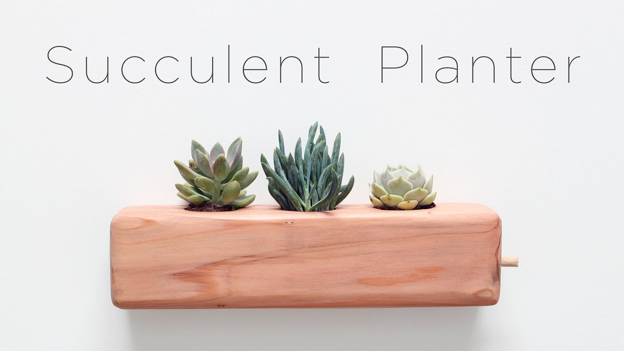 DIY Succulent Planter