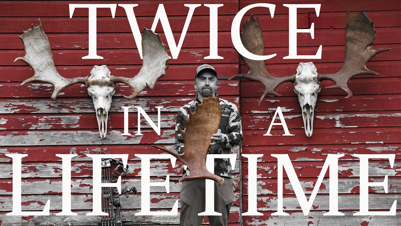 Vermont Archery Bull Moose Hunt 2023 | 