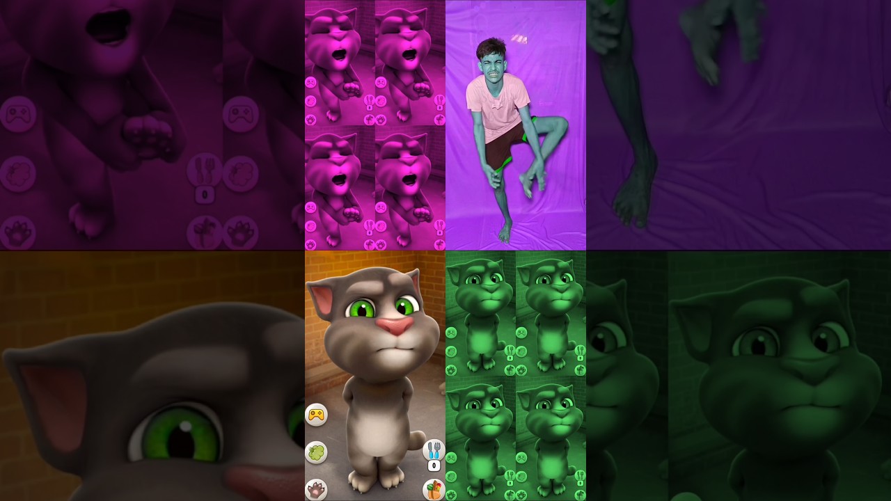 Talking tom 🫐🫐
