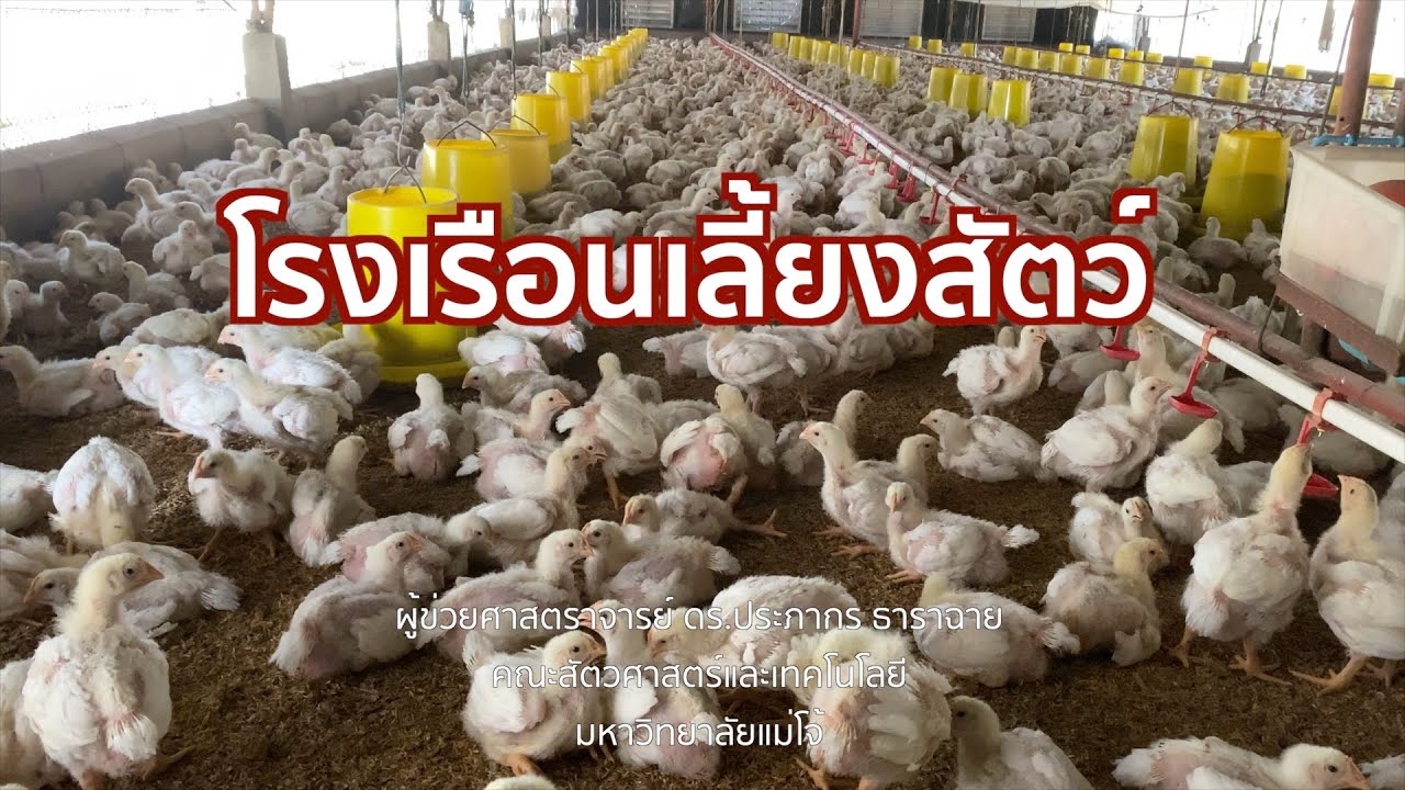 414 โรงเรือนเลี้ยงสัตว์ | โรงเรือนและอุปกรณ์สัตว์ปีก