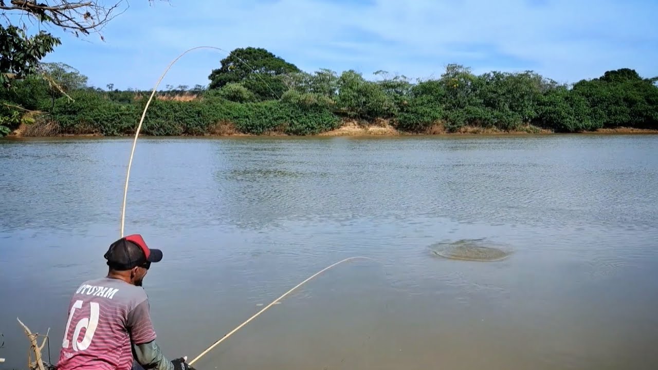 Desci nesse barranco no rio e acertei o cardume de tilápia, pescaria com muitas tilapias 