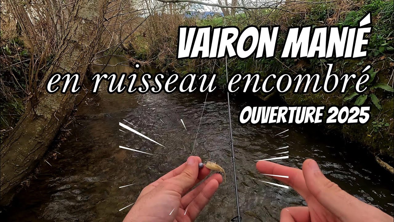 Je PECHE la TRUITE avec une imitation de VAIRON MANIE pour l'ouverture 2025... Belles SURPRISES !