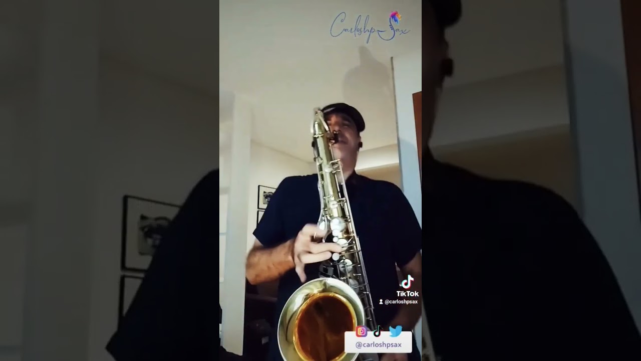 Zona de Perigo - L&eacute;o Santana  [cover CarlosHPSax 🎷]