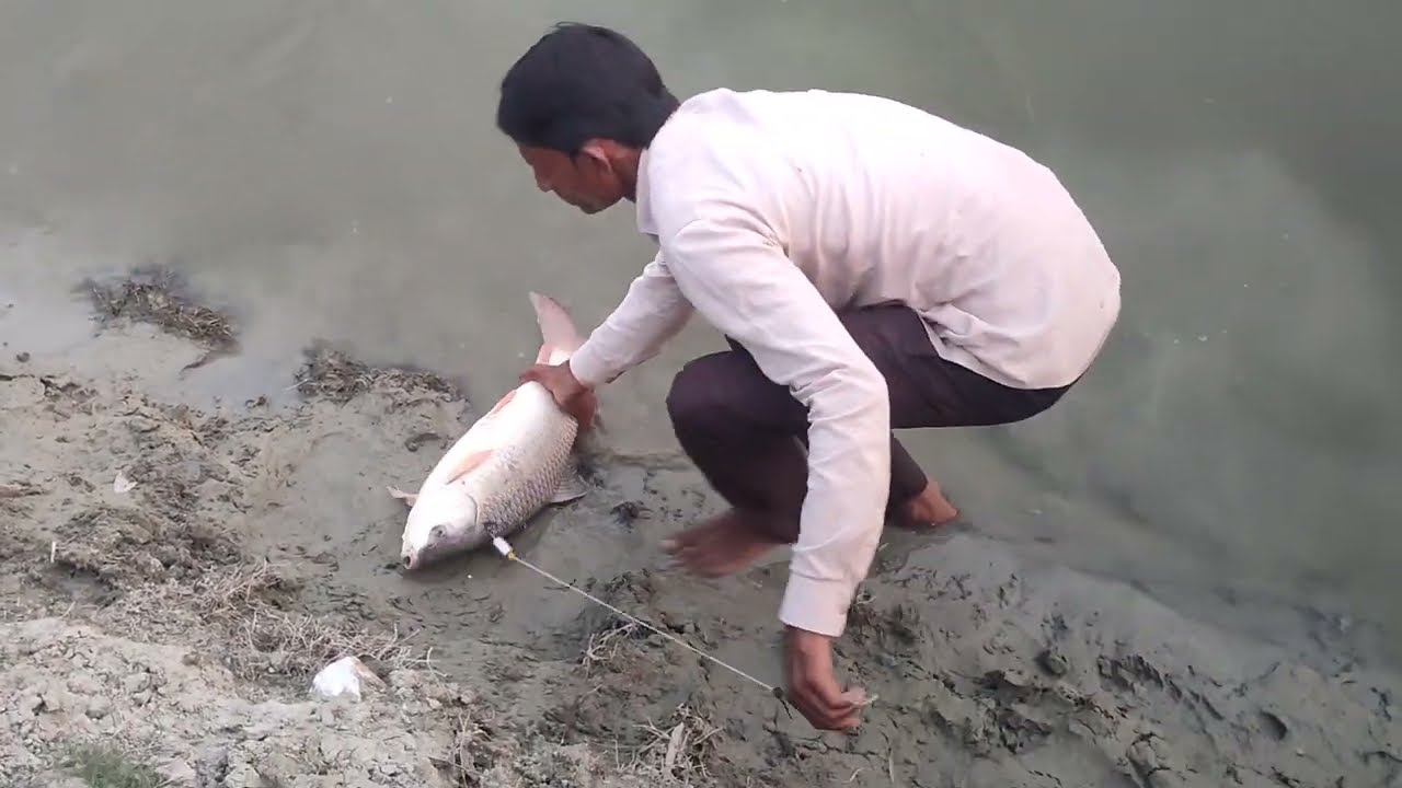 4 kg rohu fish hooked by lamdor fishing