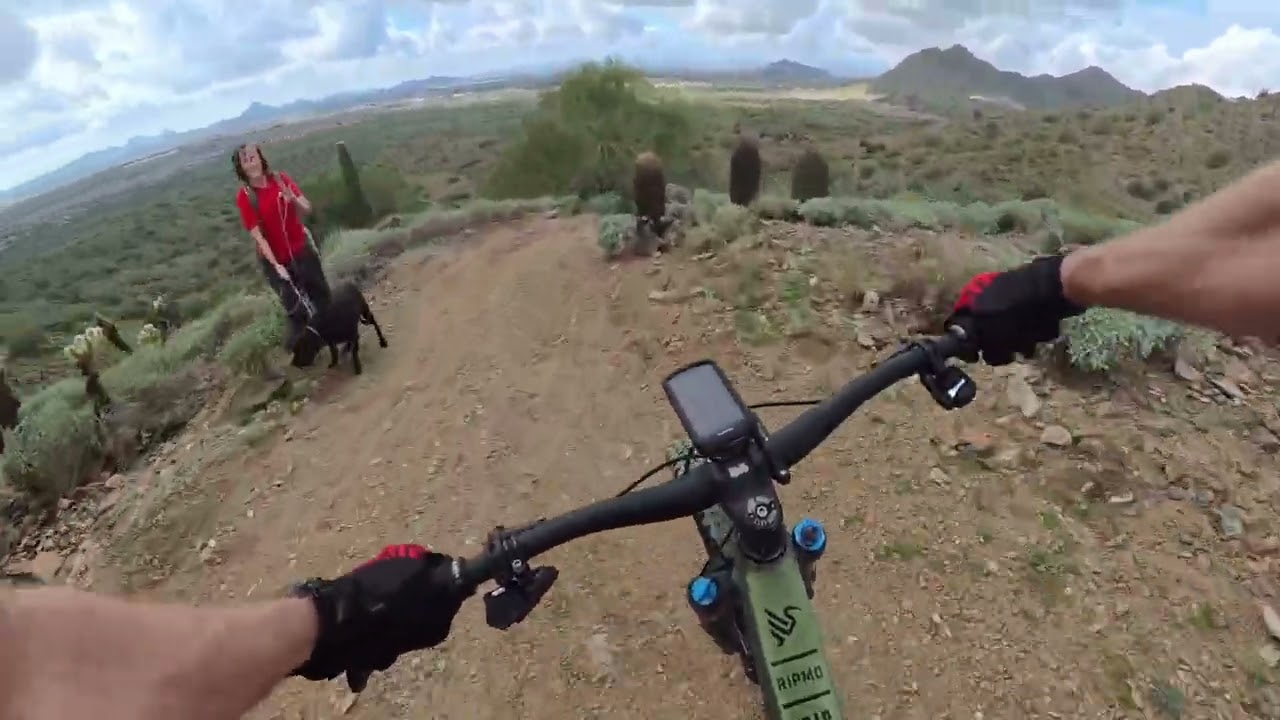 Sidewinder Ocotillo Loop