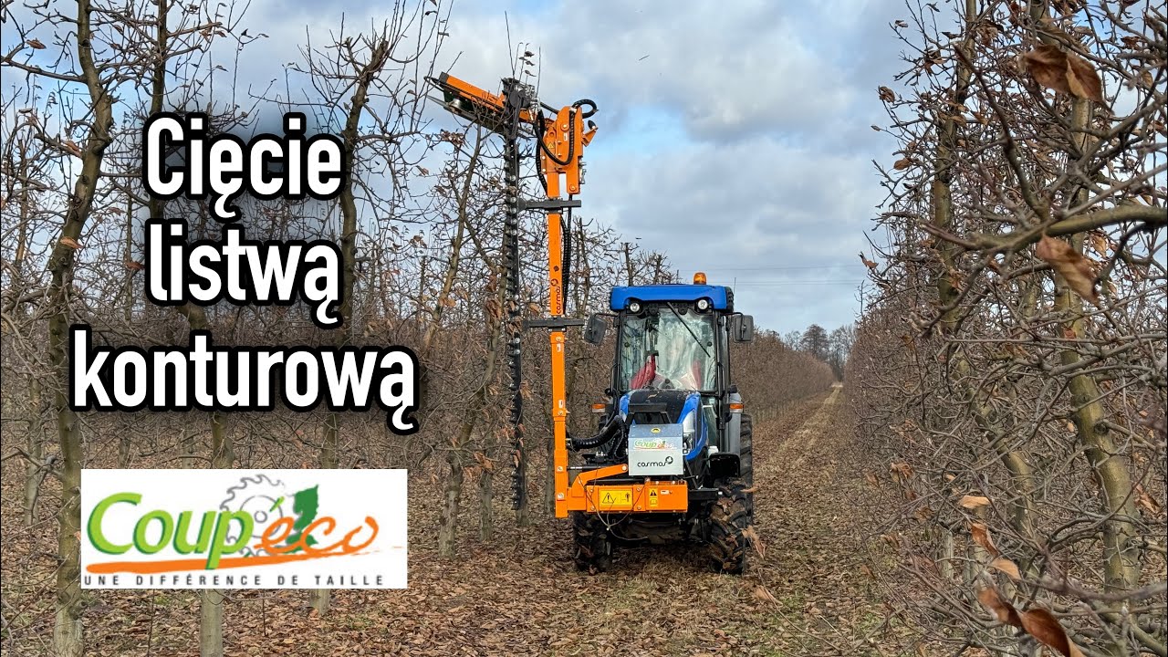 Cięcie mechaniczne listwą konturową w odmianie Idared