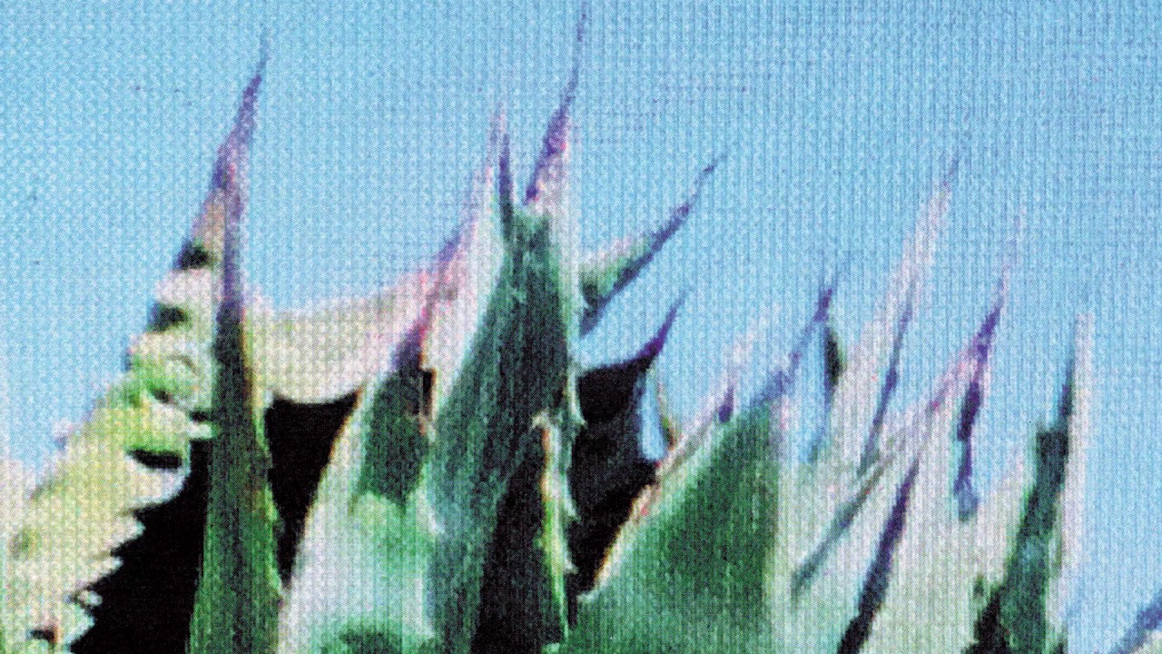 S Olbricht - Enju [Lobster Theremin]