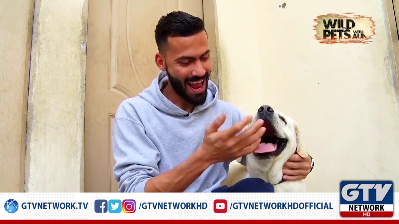 The Extreme Dog Lover | Wild Pets with Aun, 16th February 2020