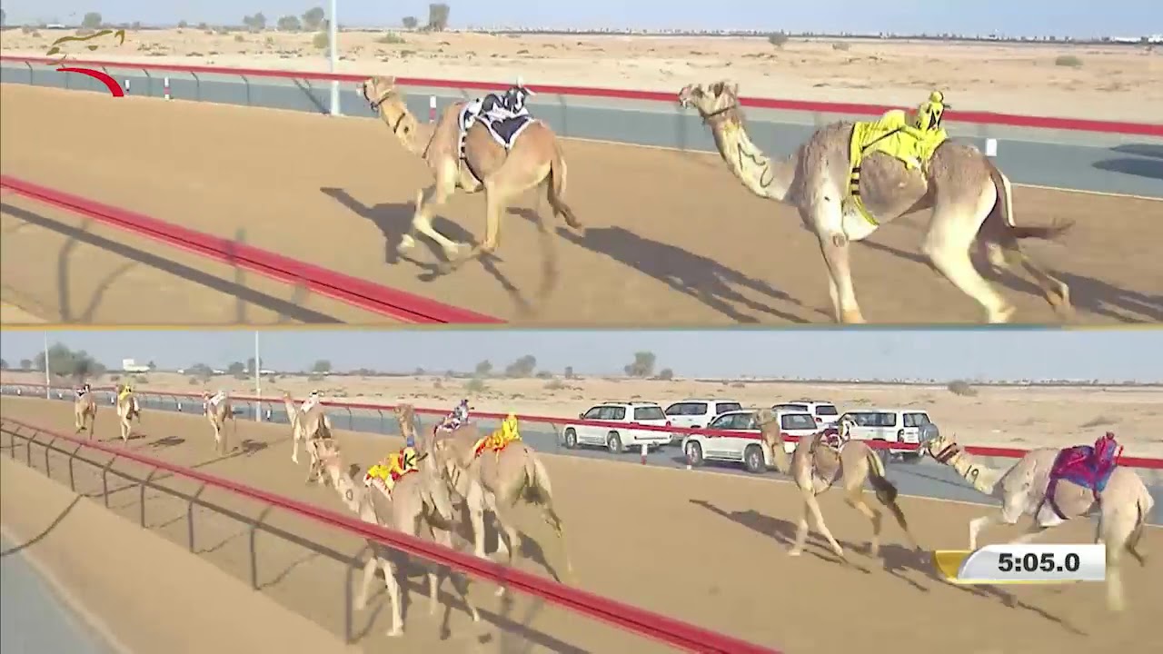 ثنايا للقبائل - المرموم 20-3-2019 ص- ش6 الشايبه لـ محمد مسلّم طاسه العامري 12:42:8