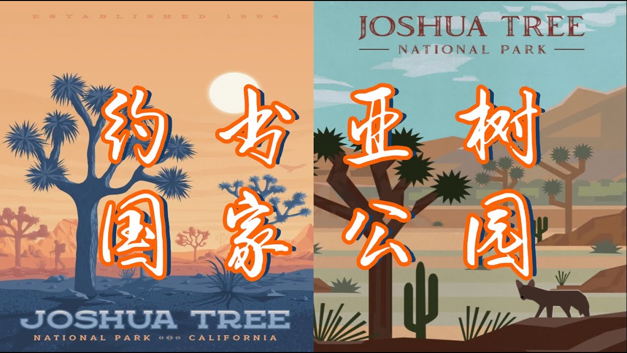 【美国约书亚树国家公园全攻略】大漠孤烟直，长河落日圆。一起去看看荒漠里的国家公园。︳Joshua Tree National Park Vlog︳美国国家公园之旅︳