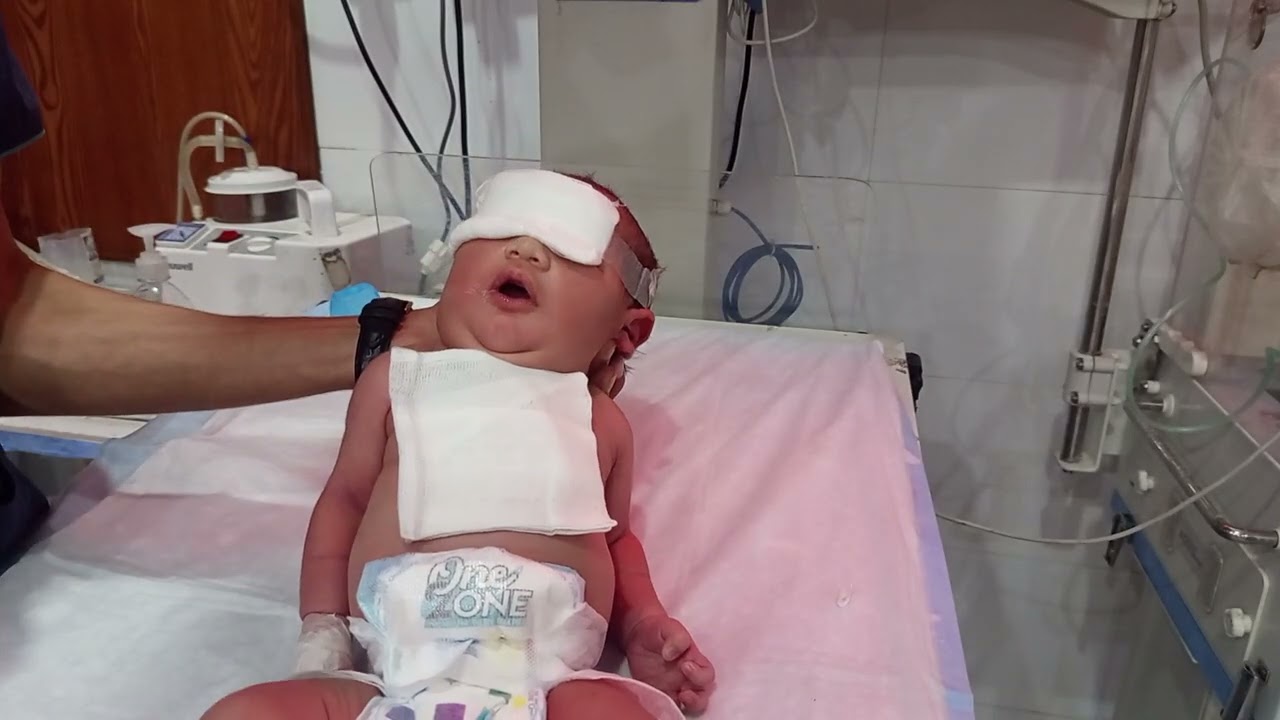 Easy Bottle Feeding Techniques Every Parent Should Know