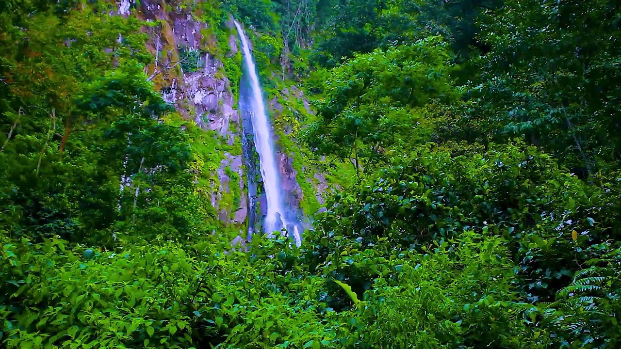 Relaxing Mountain River Stream | Calm Nature Sounds for Deep Sleep Therapy