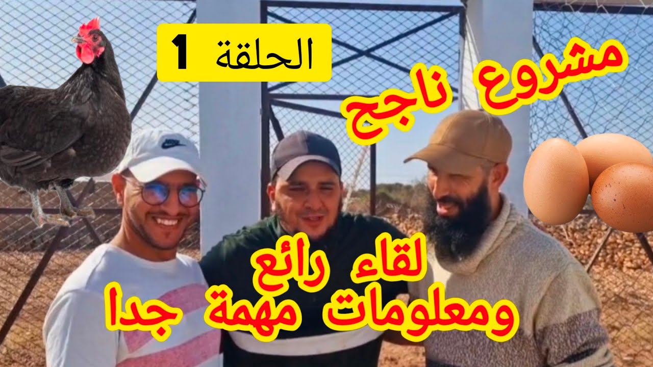 مشروع تربية الدجاج البياض _ لقاء حصري ورائع من مدينة الصويرية القديمة من أحدى أجمل المزارع