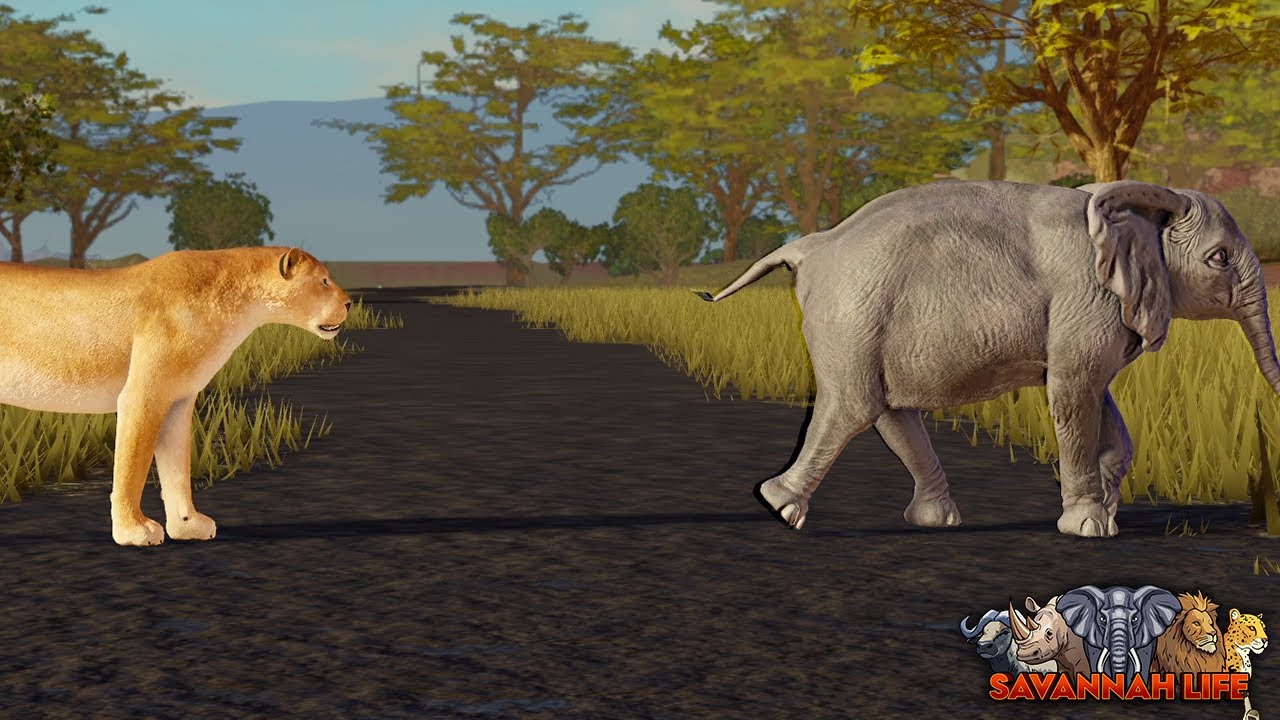 Lion Finds Lost Baby Elephant! | ROBLOX Savannah Life