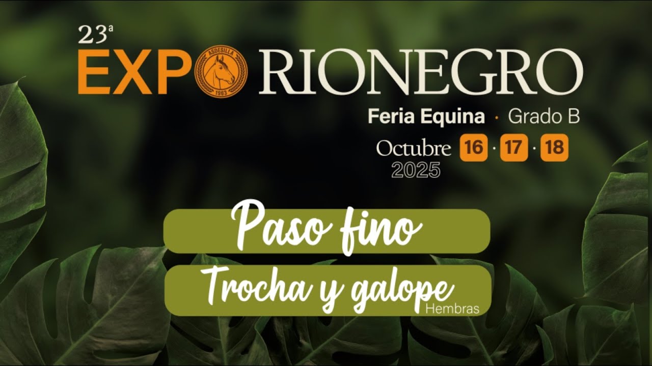 XXIII FERIA EXPOSICION EQUINA GRADO ´´B´´ EXPORIONEGRO 2025 - DIA 2 - PASO FINO -TROCHA Y GALOPE.