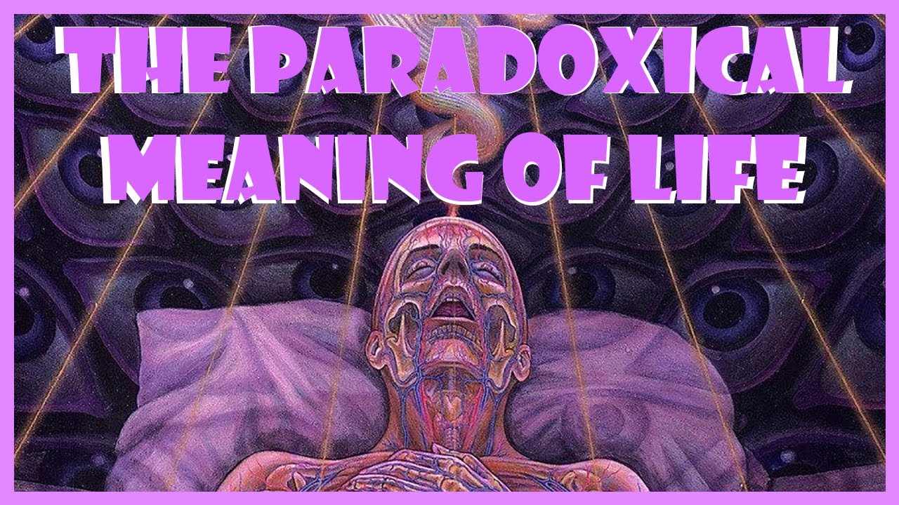 The Paradoxical Meaning of Life - A DMT Trip Report