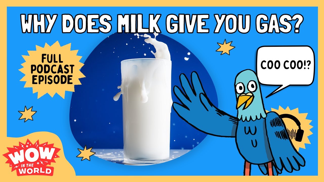 Why Does Milk Give Us Gas?  | Wow in the World | Kids Podcast Episode | Science for Kids