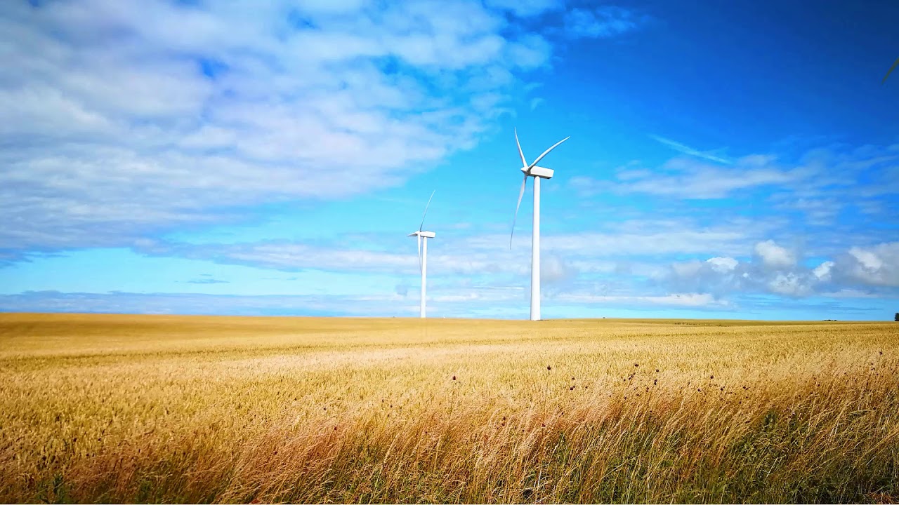 Sz&eacute;lzaj a mezőben - A term&eacute;szet eg&eacute;sz &eacute;jjel hallhat&oacute; - Pihenjen