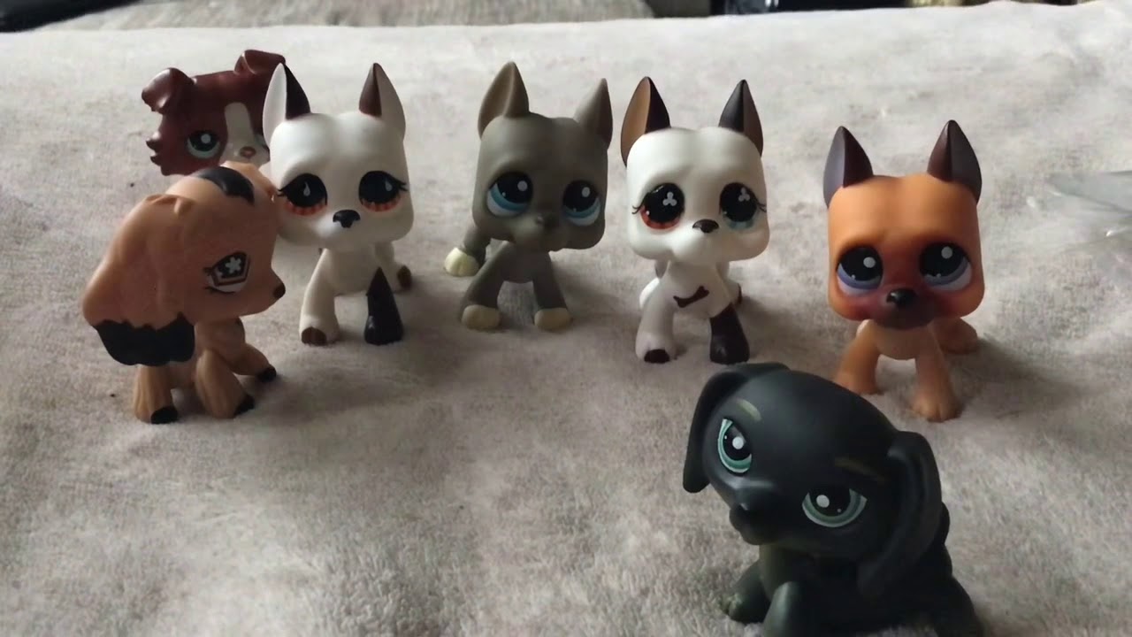 Lps- balíček z aliexpressu😱