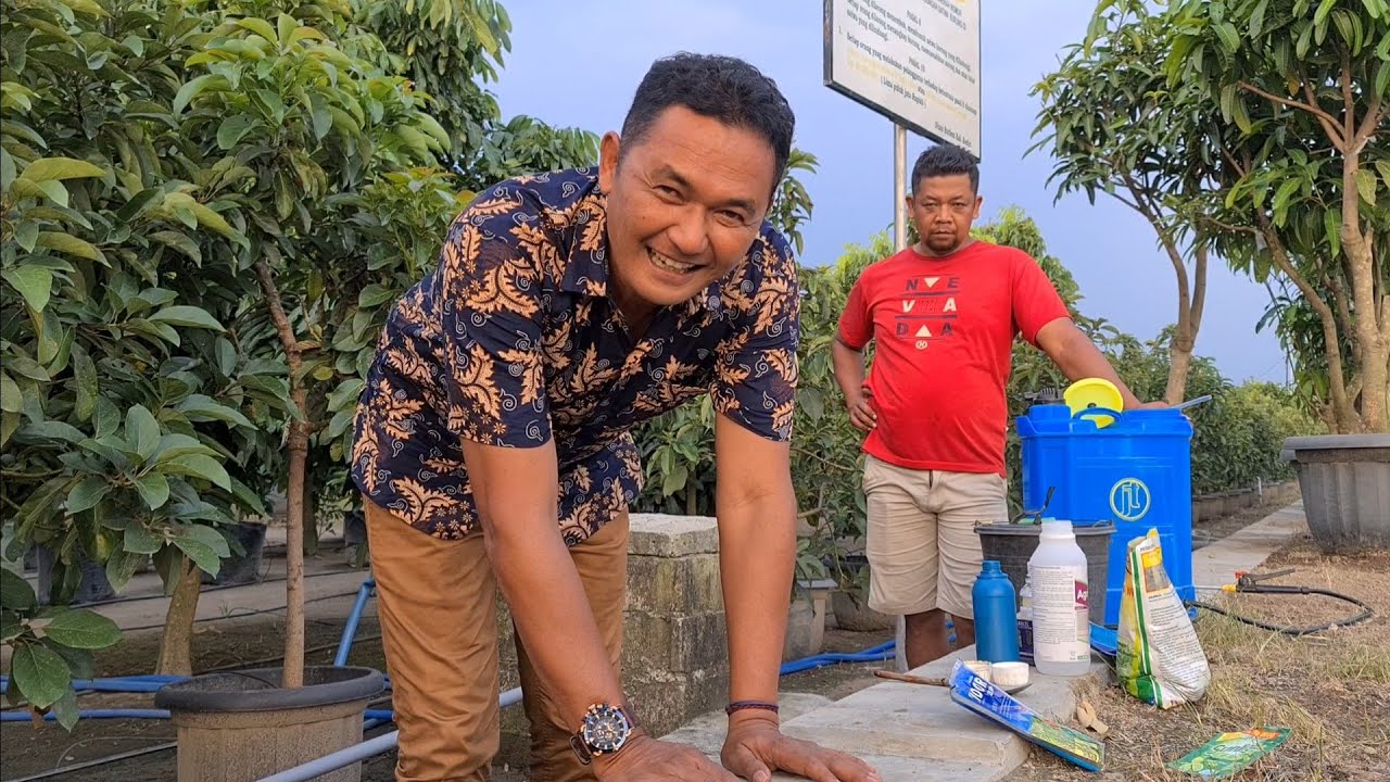 MENGATASI HAMA TANAMAN ALPUKAD