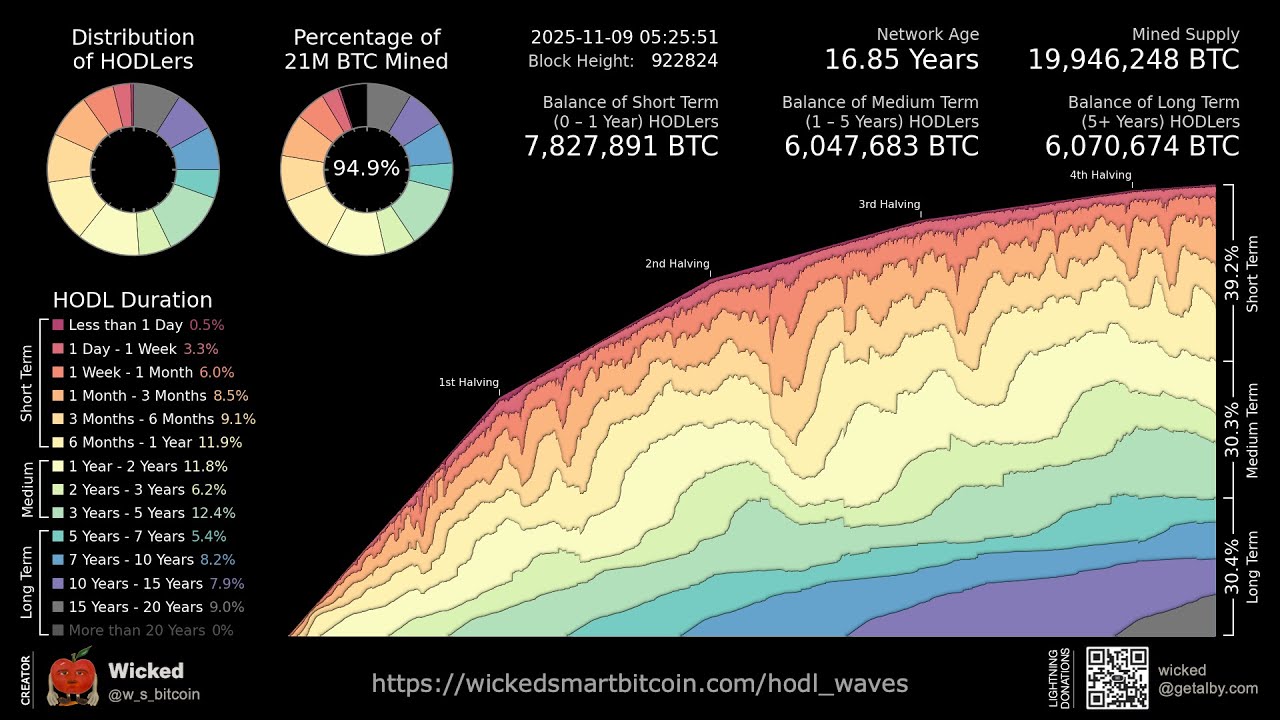 Bitcoin HODL Waves Animation (11/9/25 Update)