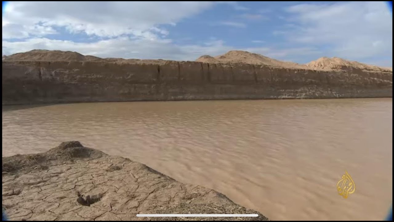 نجاح تربية أسماك الشبّوط في الصحراء الأردنية
