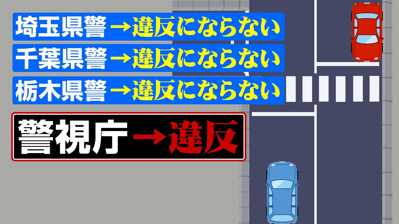 【歩行者妨害】警視庁と新たな闘いが始まりました1