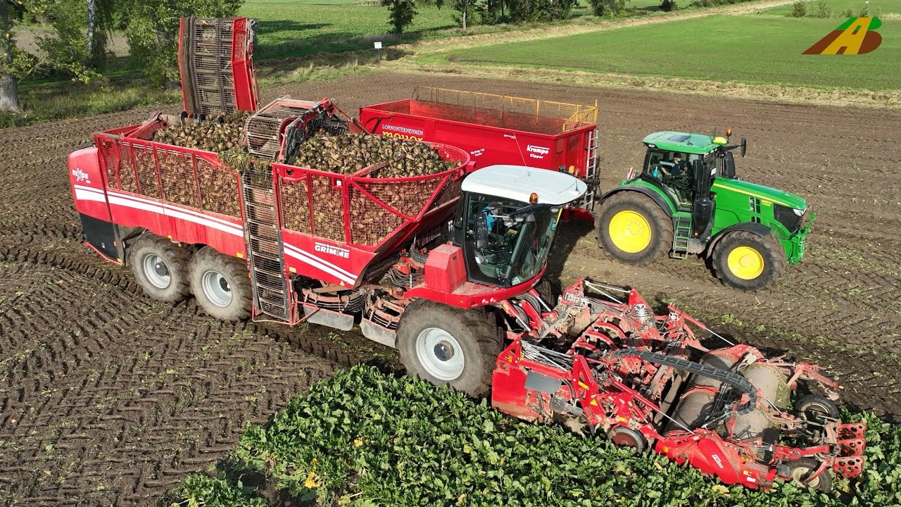 Rübenernte 2022 Vollernter GRIMME REXOR, JD Traktor Zuckerrüben roden Lohnunternehmer Landwirtschaft