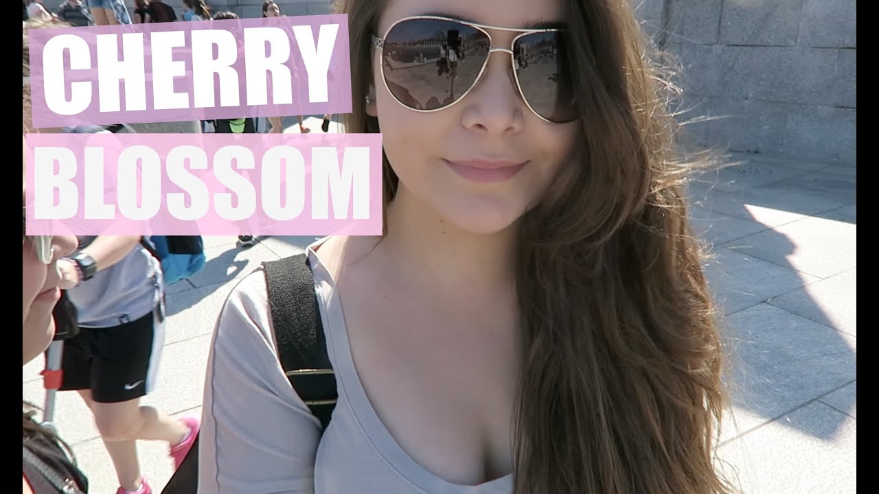 Paseando por el DC y Florecimiento de los Cerezos - Maqui015 ♥