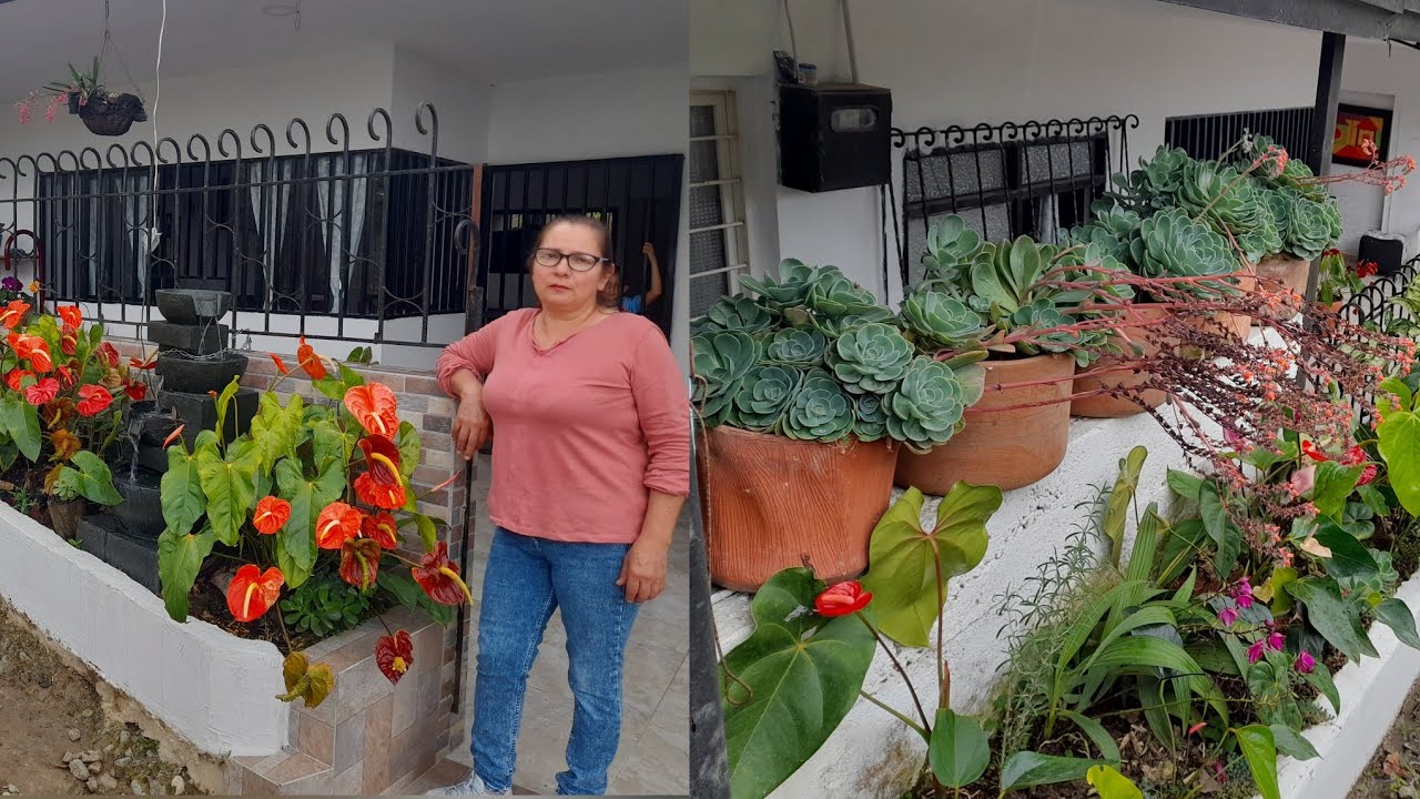 El jardin de Anturios de Doña Fernanda. vereda el manzano