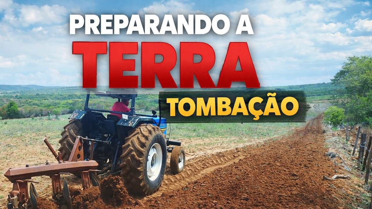 Tonbaçao rendeu 💥💥💥💥 2026