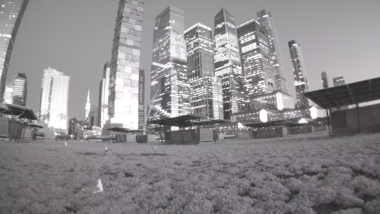 Live Camera Live Roof Camera