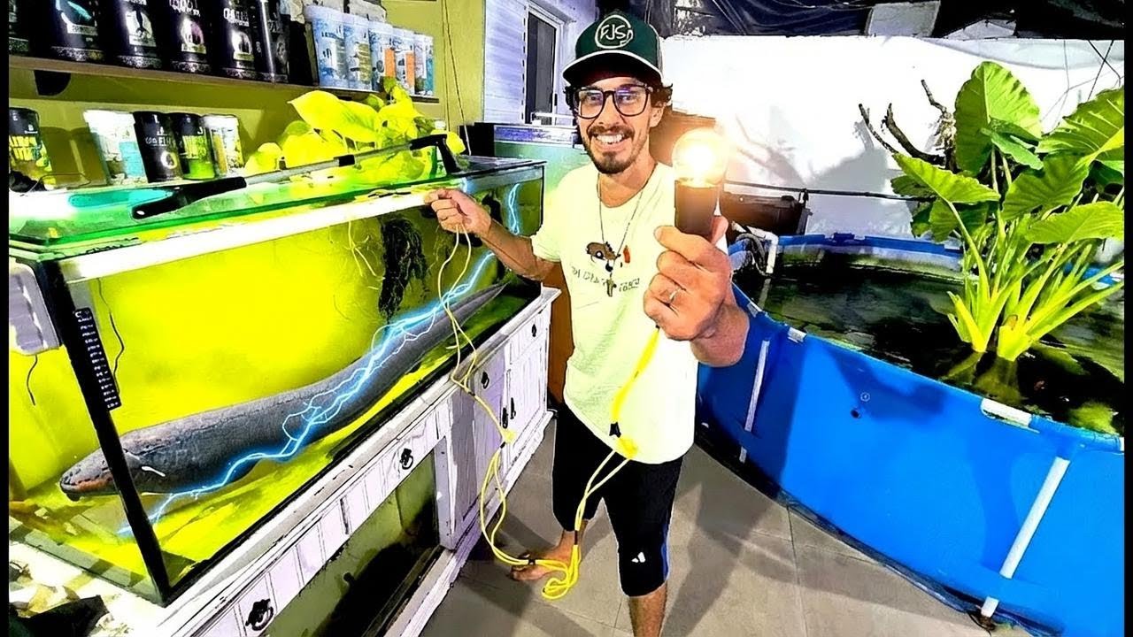 I Powered a Lightbulb with My Giant Electric Fish