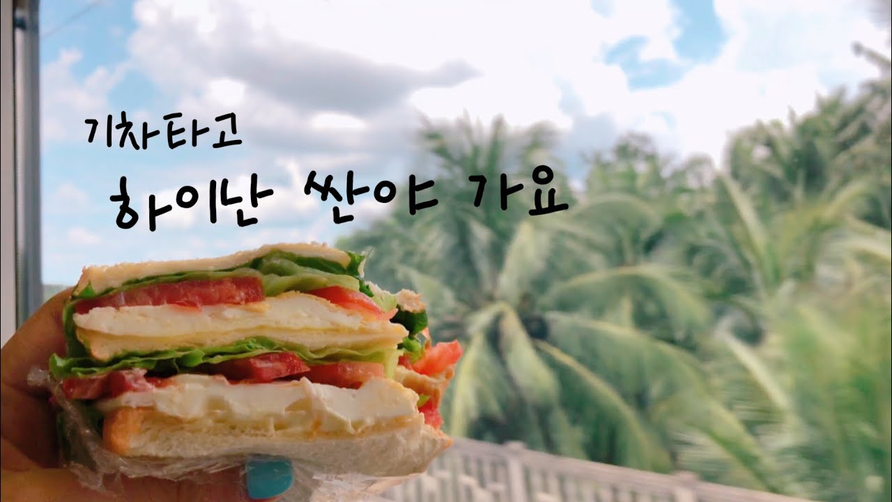 싼야 여행 가는길 vlogㅣ중국 하이난 중국기차여행ㅣ하이난 하이커우-싼야 坐高铁去三亚