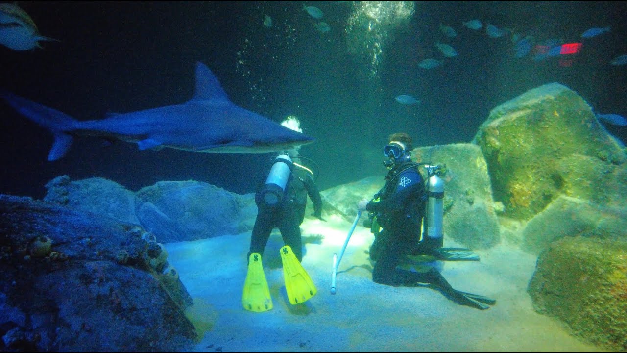 New York Aquarium - Coney Island