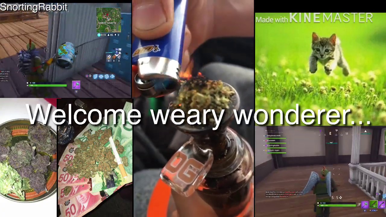 Fortnite & Weed | Best of 2018-19!