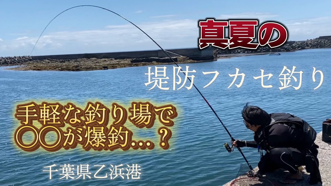 【フカセ釣り】千葉県の堤防でコマセを撒いたら○○が無限に釣れました…