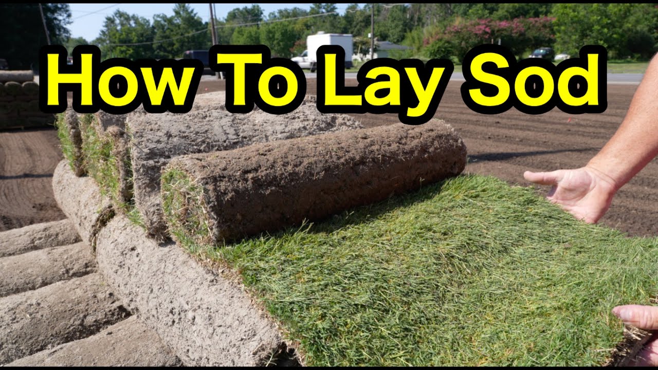 How To Lay Sod