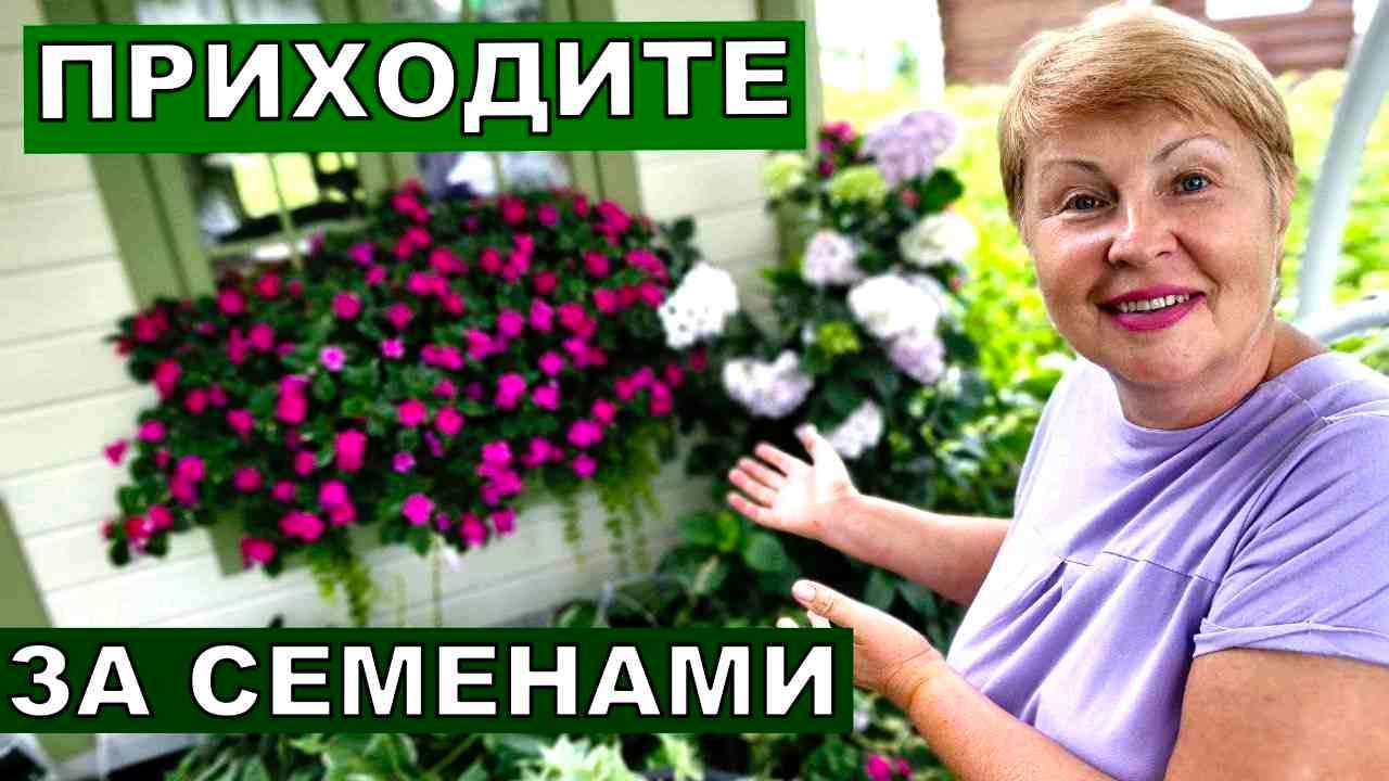 Только свежие и лучшие семена.Жду новинки. Обзор рассады. Успеете заказать и посеять