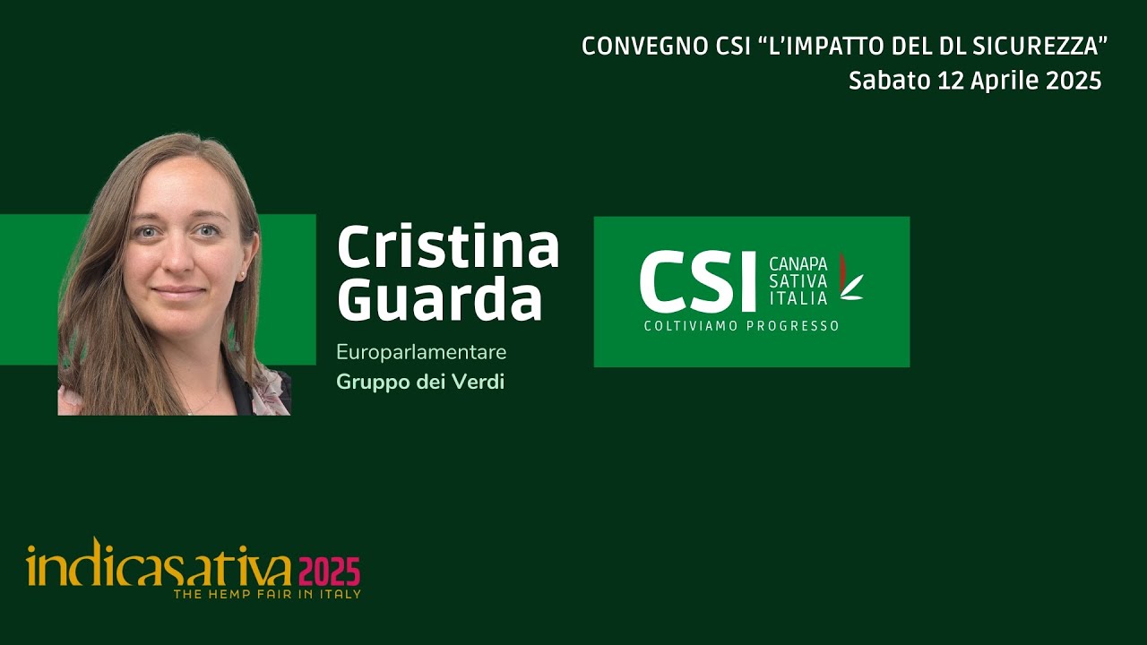 L'Europarlamentare Cristina Guarda Riguardo l'Articolo 18 del DL Sicurezza