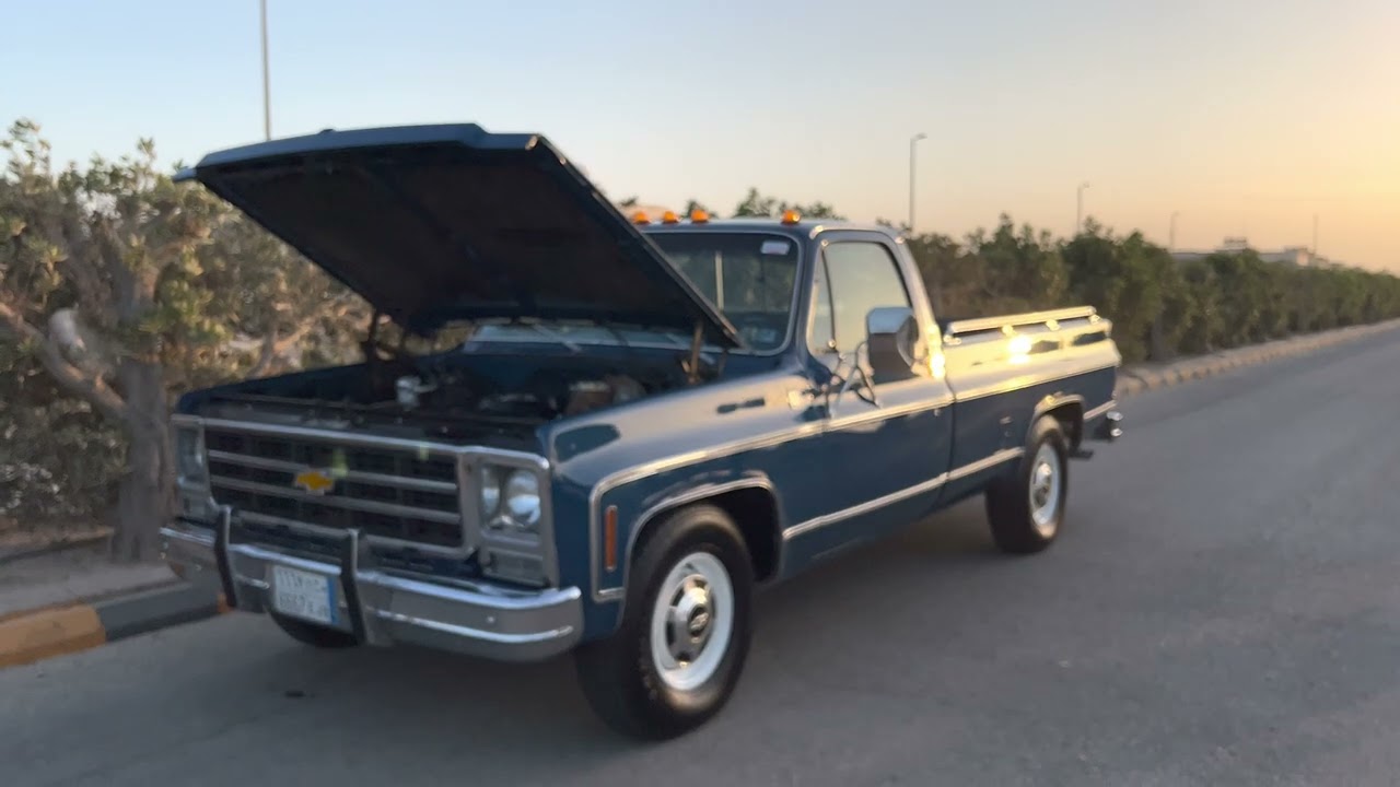 1979 Chevrolet C20 شفر