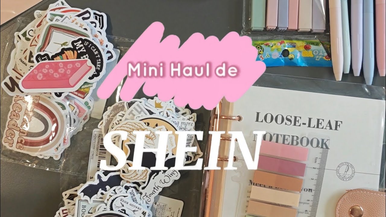 Mini Haul de Papeler&iacute;a en SHEIN! 🩷🛍️📚