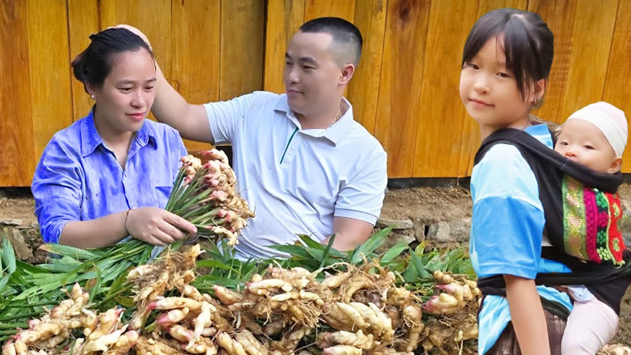 Harvesting Vegetables With Husband Goes To Market Sell - Cooking - Garden | Ly Thi Ca