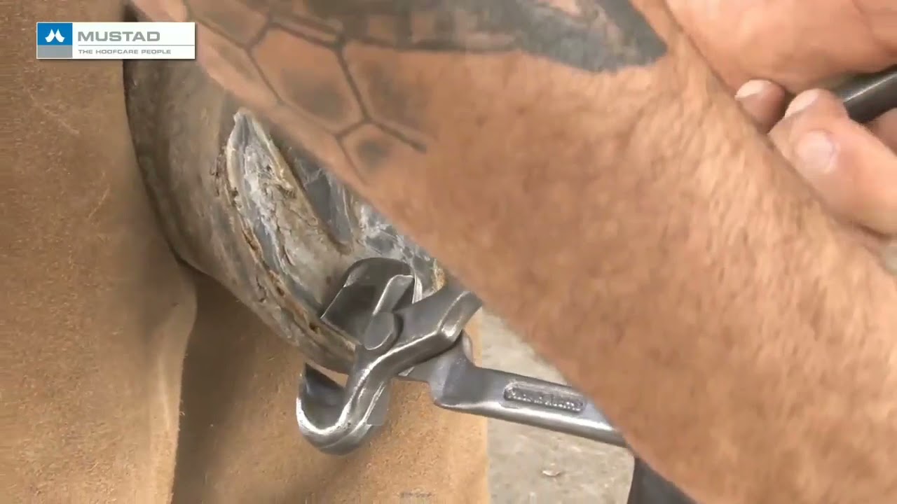 Como usar o Torquês MUSTAD para casco